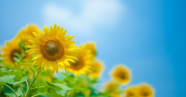 津波警報避難してます！！無事です！！