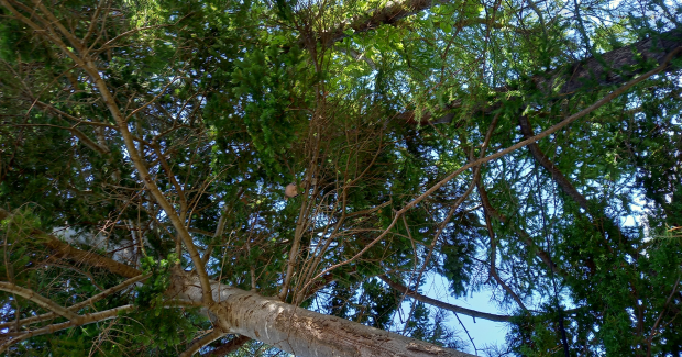 素敵がいっぱい！