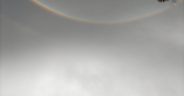 あっぱれ！秋晴れ！