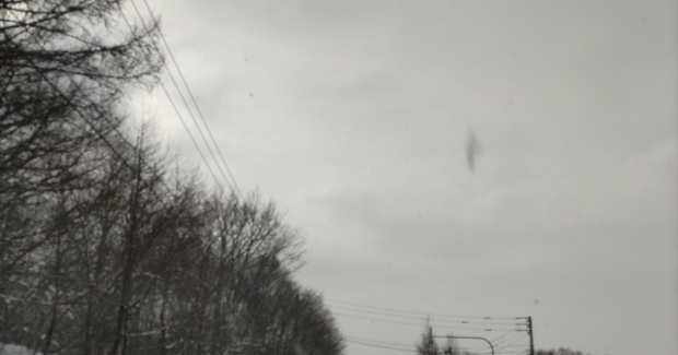 これから冬？！？！春よぉ～！！おいで！！