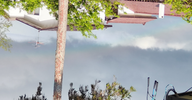 賑やか鮮やかな日々。