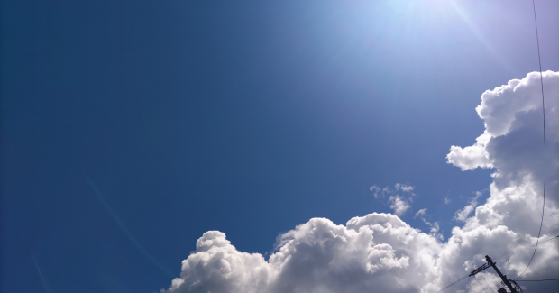 8月！！熱気！活気！溢れる日々。