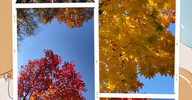 HAPPYHalloween！！〜こんにちわ！11月！！〜