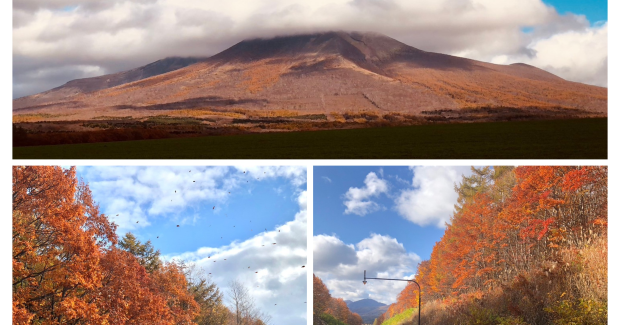 初雪！！〜冬到来〜
