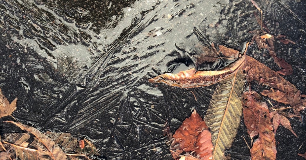 孟冬〜サンタさんがみてる？！〜