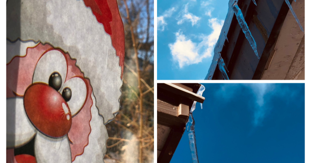 雪やぁ〜♫こん♪こん♪