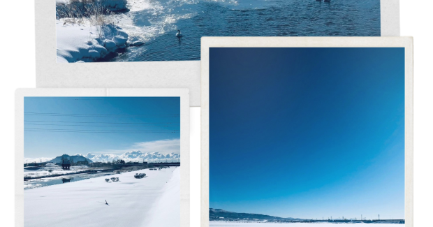 ドキドキ！ワクワク！バレンタイン！！