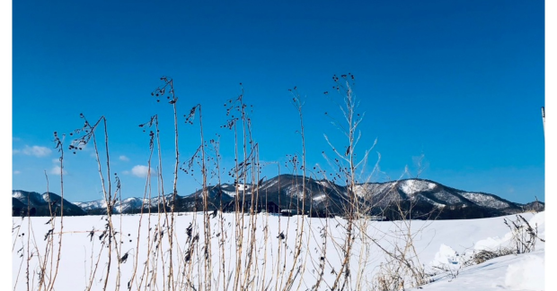 2月の終わりと春の気配。