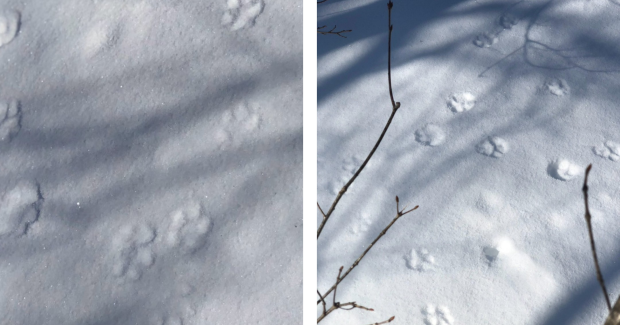 雪解け待ちわびる春。