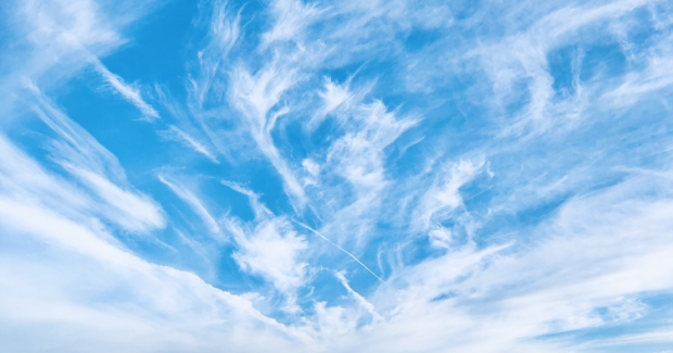 6月の終わりと夏模様。