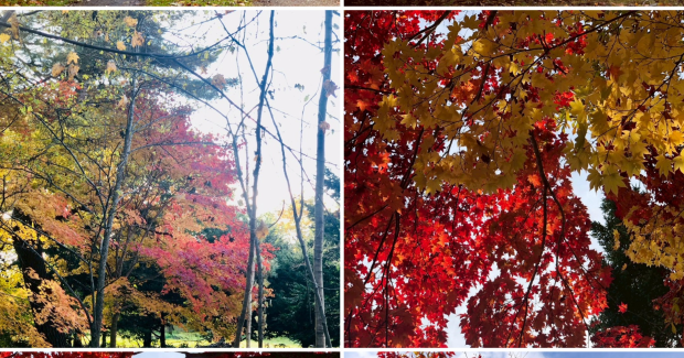 １０月の終わり。