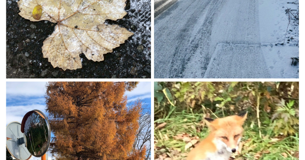 冬だぁ～！雪だぁ～！！