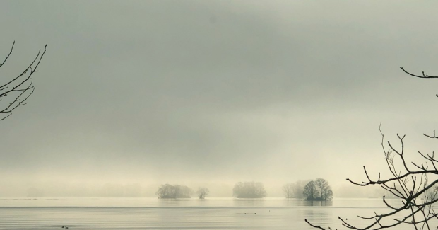 11月の終わりと師走。