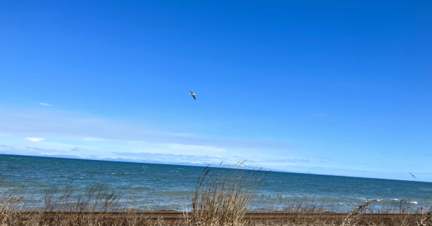 春まっしぐら。